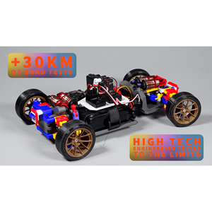 RC-Car GTR stampato in 3D e pronto per guidare - Alte Prestazioni - Product Image 1