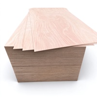 Panneau de contreplaqué 12mm 18mm pour coffrage 4x8, avec âme et face en bois dur stratifié marin, résistant à l'eau pour extérieur et intérieur