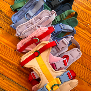 Fournitures pour chiens 2026 – Ensemble harnais de luxe respirant pour chien et chat, design personnalisé avec logo, par le fabricant - Product Image 1