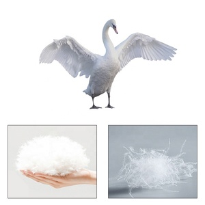 Lông Ngỗng Oko-Tex Nhà Sản Xuất Chuyên Nghiệp Lông Vũ Giá Tốt Bán Buôn - Product Image 4