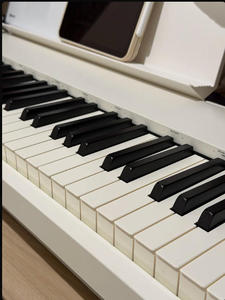 FP30X Piano de 88 Teclas con Acción de Martillo PHA-4, Profesional, Portátil, de Grado Doméstico, para Alimentación por CA 30 - Product Image 4