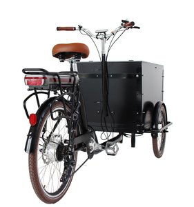 Tricycle Électrique à 3 Roues pour Adultes, Vélo de Vente Ambulant avec Panier Avant pour Jus, Café et Pains - Product Image 4