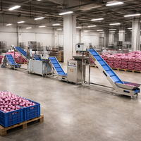 Ligne de traitement commerciale IKE : Machine à trancher et sécher les oignons, séchage et emballage de chips de fruits pour chips d'oignons et autres produits similaires