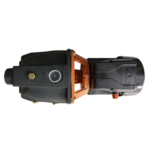 <span class=keywords><strong>Leo</strong></span> Ajm Series 0,3-1.5kW 1 etapa de hierro fundido autocebante Jet de alta presión Control completamente automático 10-100L/Min Bomba de caudal - Product Image 4