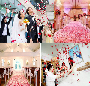 1000/3000 adet renkli yapay gül yaprakları düğün Petalas doğum günü ipek çiçek Petal aksesuarları düğün romantik gül dekor - Product Image 3