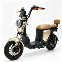 Scooter électrique vintage à deux places, batterie amovible 48V, frein à disque avant, vélo électrique pour adultes, idéal pour les trajets en ville