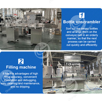 ORME Petite ligne de remplissage de vin, jus de fruits, vodka liquide, machine d'embouteillage d'eau Chine