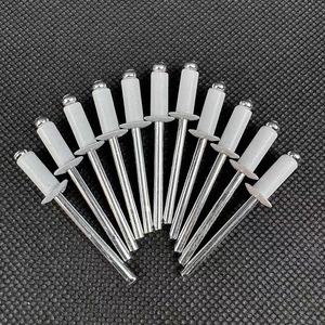 Mái vòm đầu AL mù đinh tán với thép trục gá <span class=keywords><strong>3</strong></span> <span class=keywords><strong>mm</strong></span> đinh tán mở cuối Pop Trắng Mù đinh tán remaches de aluminio - Product Image 1