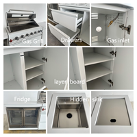 Cuisine extérieure moderne de luxe en acier inoxydable 304, avec barbecue 7 brûleurs, revêtement poudré, hauteur réglable