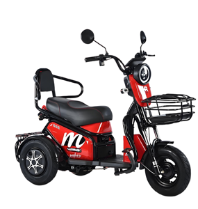600W pas cher deux places Scooter électrique vélo adulte voiture de tourisme tricycle électrique à trois roues