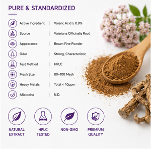 Extrait de racine de valériane en poudre 0,8 % acide valérique - Extrait standardisé sous marque privée en conteneur plastique/fût pour la nuit - Product Image 5