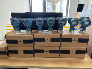 Rosemounts Transmitters Models 2051CD 2088A 3051TG 2090G 3051SAL IP67/IP68 316L SST C-276 Tantalum 18-Month - Product Image 3