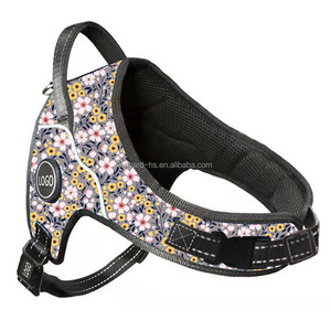 Paracord Collar Silicone Spike Led Pet Pvc <strong>Dog</strong> <strong>Harness</strong> Soft Leash Air Tag Airtag Cat Flower Vegan Leather - Product Image 6