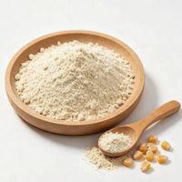 Échantillon Gratuit de L-Lysine HCl CAS 657-27-2, Poudre de Chlorhydrate de L-Lysine pour l'Alimentation des Volailles, des Porcs et de l'Aquaculture