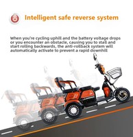 Tricycle électrique familial à 3 roues, 3 places, 60V 1000W, scooter de mobilité à carrosserie ouverte, fauteuil double pour 2 personnes âgées, 30-50 km/h, 30 km d'autonomie