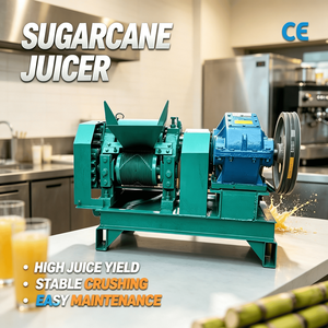 Máquina Exprimidora <span class=keywords><strong>de</strong></span> <span class=keywords><strong>Caña</strong></span> <span class=keywords><strong>de</strong></span> Azúcar Automática Grande para Pequeños Negocios - Product Image 1