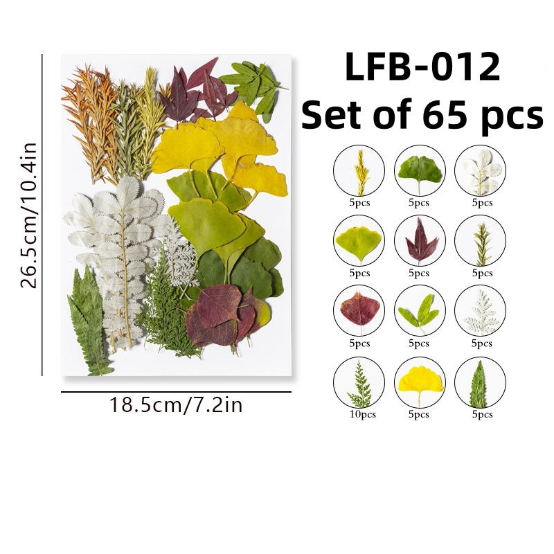 LFB-012