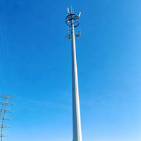 Tour Monopode de Communication Urbaine pour Antenne Cellulaire Wi-Fi, en Acier Q355B Galvanisé à Chaud, Installation Facile