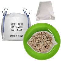 Poudre d'argile diatomée de haute pureté, diatomite naturelle, agent filtrant pour la filtration de la bière, du vin, de l'huile comestible et du sucre