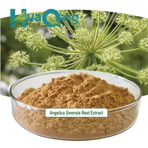 Bán Hot 1% ligustilide Angelica Sinensis chiết xuất từ rễ