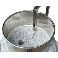 Tofu au lait de soja commercial faisant la machine avec disque de meulage en pierre pour broyeur de lisier de farine de nouilles de riz aux épices chili