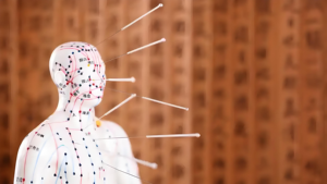 نموذج تعليمي طبي للوخز بالإبر للإناث بطول 48 سم مع نقاط الميريديان، مصنوع من البلاستيك PVC، معتمد من CE/ISO - Product Image 3