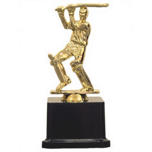 Elegante Trofeo de Plástico con Marca Personalizada para Escuelas, Universidades y Reconocimiento de Logros Corporativos - Product Image 1