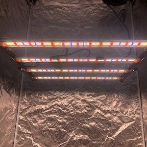 Para Redfarm 2025 <span class=keywords><strong>A</strong></span>ño Nuevo 240W 320W Luz <span class=keywords><strong>LED</strong></span> de cultivo hidropónico de espectro completo LM301H EVO para Blooming IP65 nominal - Product Image 6