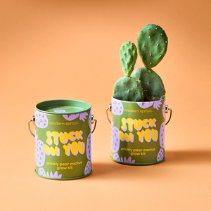 Paquete de 4 kits de cultivo de jardín más populares que tarro de cactus de pera Espinosa y es un regalo personalizado para amigos - Product Image 2