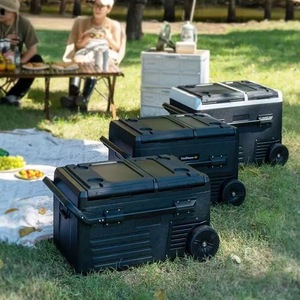 Systèmes de contrôle <span class=keywords><strong>solaire</strong></span> pour batteries rechargeables 35L 45L 55L Réfrigérateur de véhicule AC.684.170 12V/24V/100-250V Mini-réfrigérateur portable pour voiture - Product Image 4