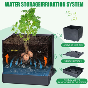 Bacs de jardin surélevés avec treillis <span class=keywords><strong>pour</strong></span> plantes grimpantes, légumes et cage à <span class=keywords><strong>tomates</strong></span> - Product Image 4