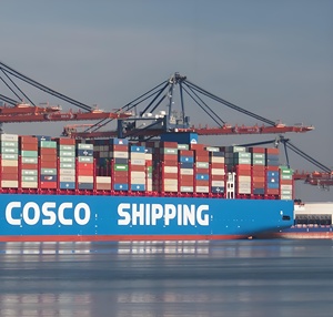 FCL container lcl vận tải đường biển giao nhận cho Trung Quốc để Guatemala Guatemala thành phố puerto quetzal đại lý vận chuyển hậu cần - Product Image 4