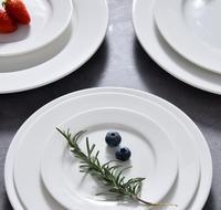 Aanpasbare 5-12 inch witte keramische platte borden, puur wit porselein, milieuvriendelijk, modern logo, geschikt voor restaurants en diners.