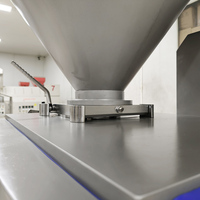 Nouvelle machine à saucisses sous vide hygiénique de type palette en acier inoxydable 304, norme industrielle, pour production de viande à grande échelle 6000 kg/h