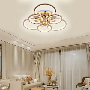 Oturma odası yatak odası ışıkları tasarımcıları aydınlatma altın siyah avize lamba yuvarlak kare lüks modern akrilik led tavan ışıkları