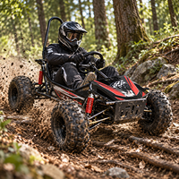 Kart tout-terrain à essence 212CC 4 temps haute vitesse avec transmission CVT, réservoir de carburant de 3,5 L et capacité de charge de 180 kg pour l'aventure
