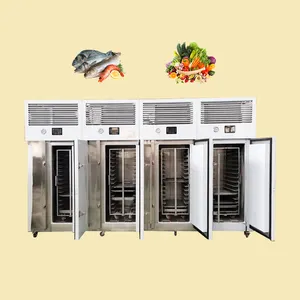 TCA CE ISO certificated Quick freezing liquid frozen freezers big size super shock freezer for meat shops