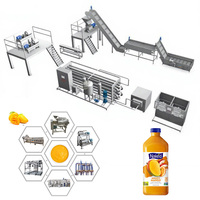 Turnkey project op maat gemaakte hoogwaardige, multifunctionele, volautomatische mango verwerkingslijn, CE-gecertificeerd