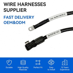 Çinli Üreticiden Su Geçirmez Konnektörlü Özelleştirilebilir Yeni Enerji Araç Akü Kablosu Güç Dağıtım Panosu Kablo Demeti - Product Image 2