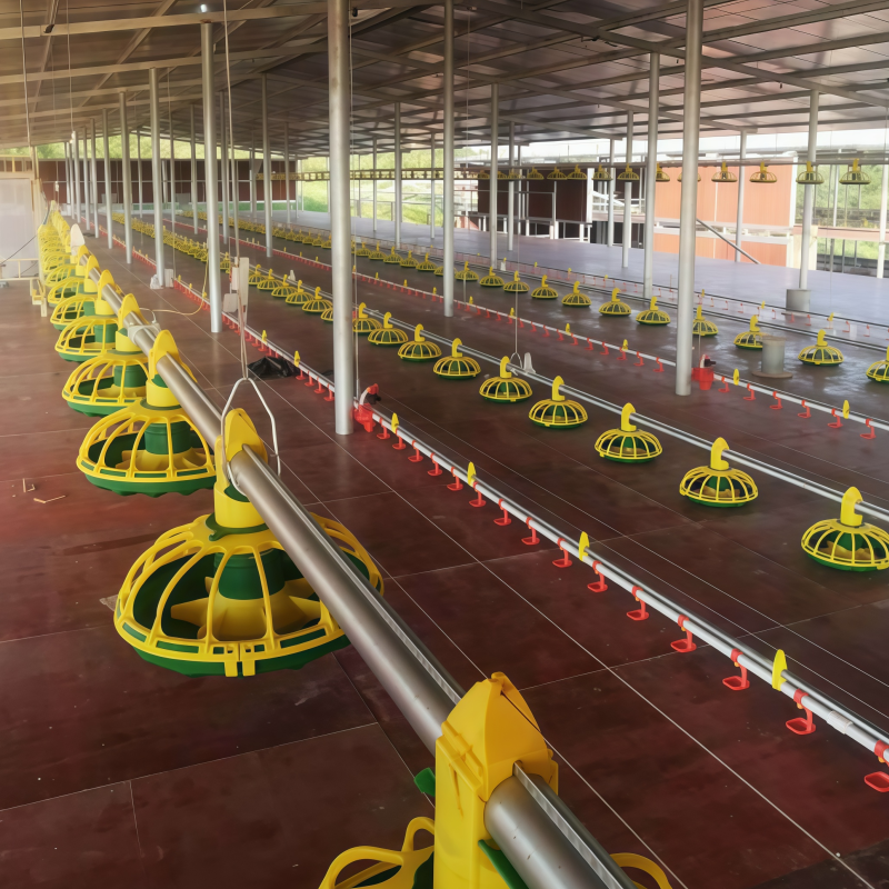 Fully Automated Spiral Screw Angur Feeder  for poultry