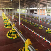 Équipement pour Élevage de Volailles Ligne d'Alimentation Automatique pour Poulets Système de Distribution d'Aliments