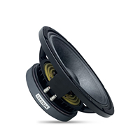 Haut-parleur professionnel de sonorisation 10 pouces haute puissance avec woofer médium-grave FE 300W pour équipement de basses de club, bar et scène