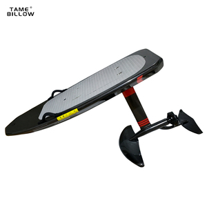 TAME BILLOW New Carbon Fiber <b>Water</b> <b>Sports</b> Stand Motor Engine Hydrofoil Board Efoil Surfboard YH-EF01/02 Power Foil YH-E - Product Image 1