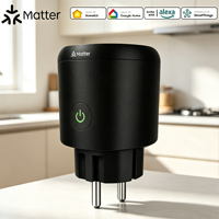 Enchufe Inteligente Europeo con Monitor de Energía 16A 3520W, Compatible con Matter, Enchufe WiFi para Control por Voz con Alexa y Google Assistant
