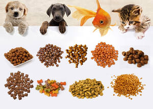 Machine de traitement d'aliments pour poissons au sol mini palettes - Product Image 4