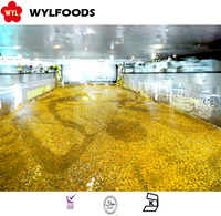 Iqf Passievruchten Bevroren Passievruchten Puree