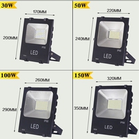 Projecteur LED DC 12V 10W-200W 24V, étanche IP66, pour la pêche nocturne en mer, éclairage paysager, lampe de sécurité extérieure