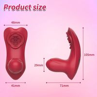 Vibrateur clitoridien avec sensation de toucher réel, stimulateur de culotte portable pour femme, 10 vibrations, télécommande, faible MOQ