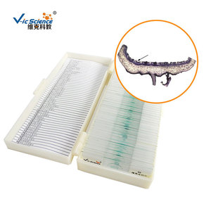 Suministro directo de fábrica de secciones de líquenes, secciones biológicas de hongos y algas, y portapreparaciones microscópicos para observación. - Product Image 1