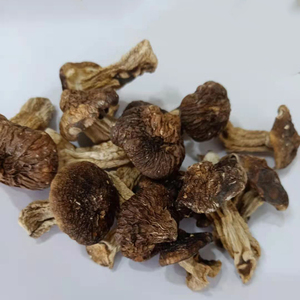 Deliciosos Hongos Shiitake Secos, <span class=keywords><strong>Matsutake</strong></span> Seco, <span class=keywords><strong>Tricholoma</strong></span> <span class=keywords><strong>Matsutake</strong></span> Seco - Product Image 3